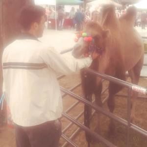 Meet your Posher, Drew